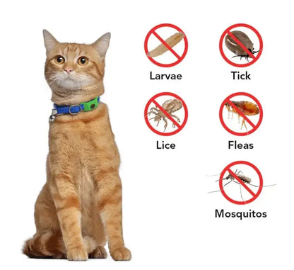 🐕30 Days Flea and Tick Free